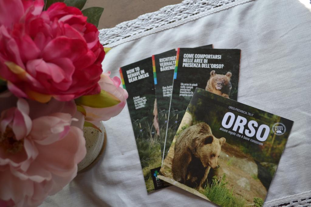 B&B La Tana Dell'Orso - Die Baerenhoehle Кастелло-ди-Фьемме Экстерьер фото