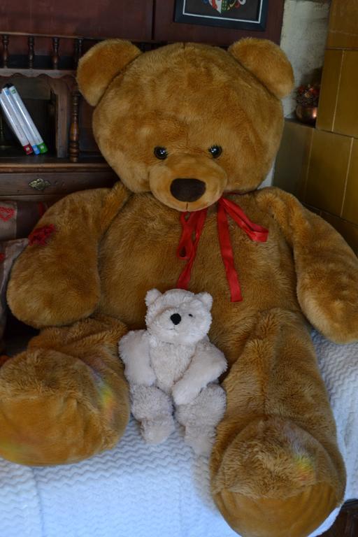 B&B La Tana Dell'Orso - Die Baerenhoehle Кастелло-ди-Фьемме Экстерьер фото